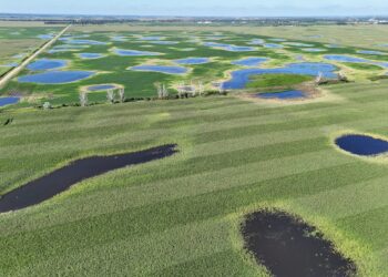 This drone image taken near Britton shows several areas of standing water in a cornfield at bottom and soybeans at top. Courtesy photo.