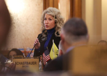 Brandei Schaefbauer, South Dakota Legislature