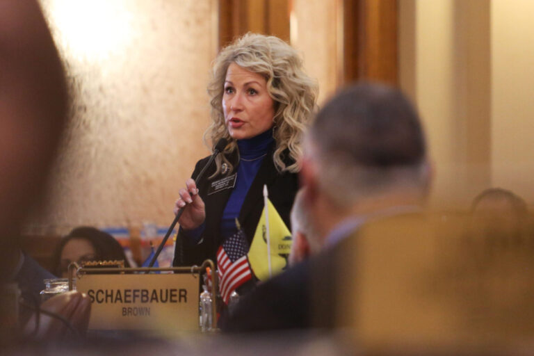 Brandei Schaefbauer, South Dakota Legislature