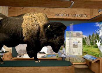 Renovation is ongoing at the Dacotah Prairie Museum for a new exhibit area that will include a bison and other animals from Dean Buntrock's collection. Courtesy photo.