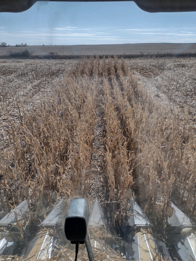 Soybean harvest is set to begin soon and places like Agtegra have planned ahead with additional capacity. Photo courtesy of Connie Groop for the Aberdeen Insider.