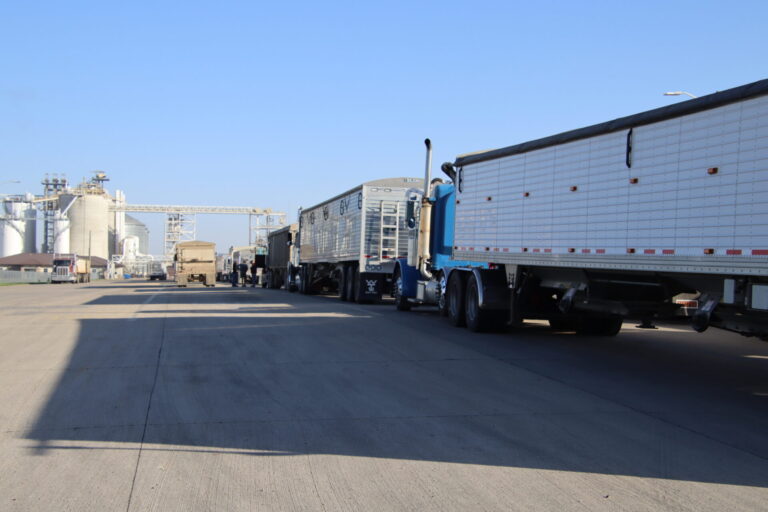 A line of semis at the AGP soybean crushing plant on Thursday, Oct. 2. Stacey Schmidt made breakfast bags for drivers waiting in line. Aberdeen Insider photo by Shannon Marvel.