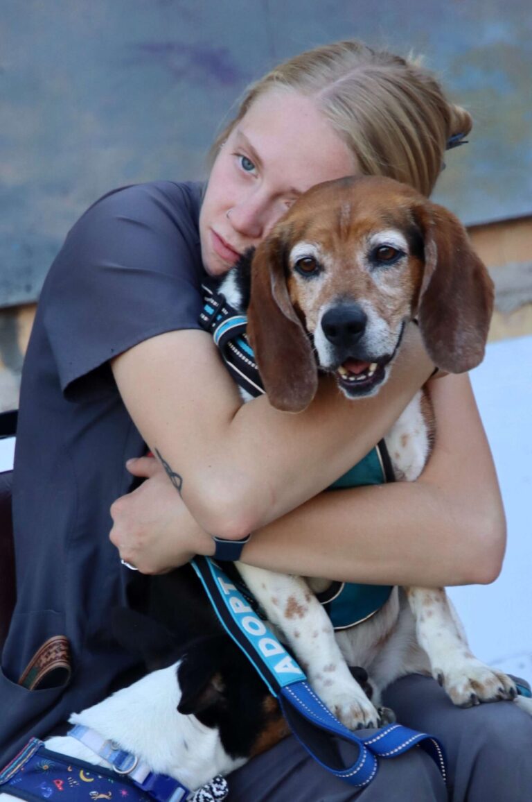 Dogs took over Malchow Plaza on Thursday, Oct. 2 during the 2025 Pheasant Phestival Pup Crawl, a dog social that benefits the Aberdeen Area Humane Society and the Pet Rescue League. Aberdeen Insider photo by Scott Waltman.
