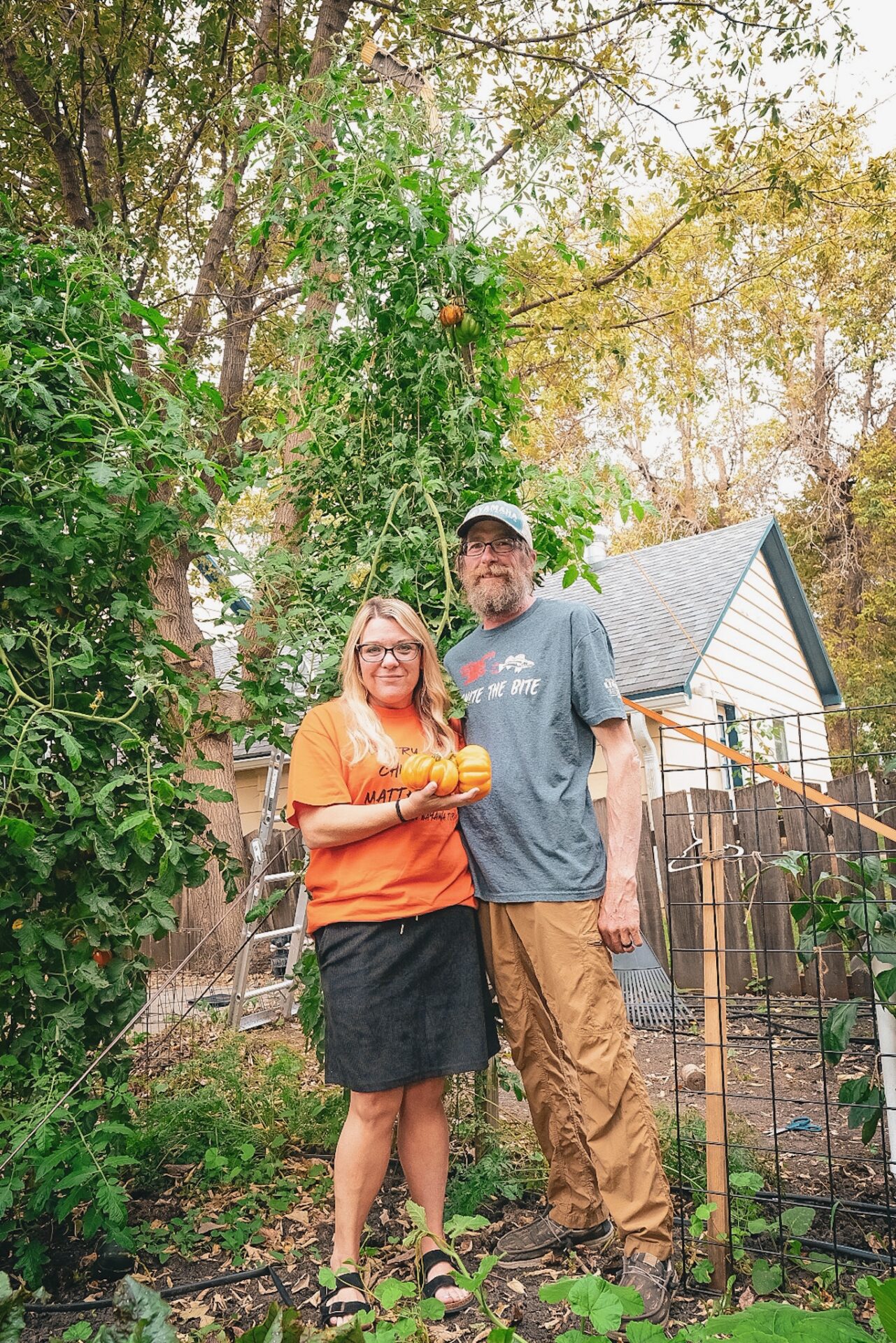 Outrageously Large' Accordion Tomato Plant Reaches 12 Feet In