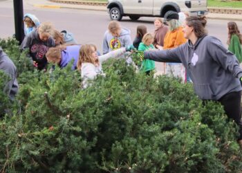 Stephanie Vlaminck grabs some tree branches from one of the Girl Scouts who spent time Saturday, Oct. 11 trimming back the branches of a landscaping project established by her broher. Aberdeen Insider photo by Elisa Sand.