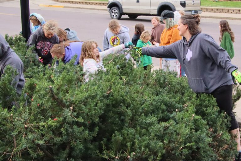 Stephanie Vlaminck grabs some tree branches from one of the Girl Scouts who spent time Saturday, Oct. 11 trimming back the branches of a landscaping project established by her broher. Aberdeen Insider photo by Elisa Sand.