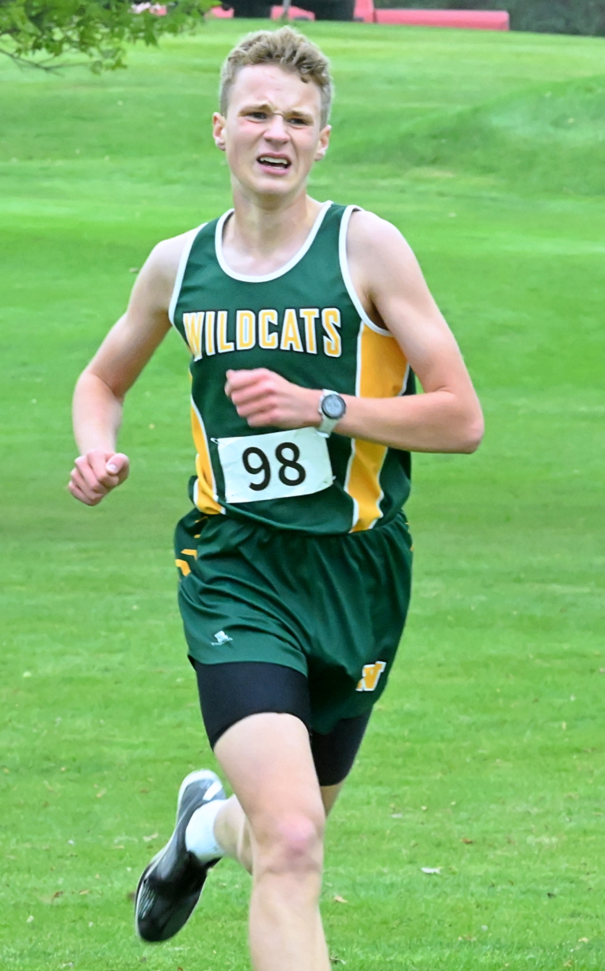 Northwestern's Boekelheide wins sixth straight Region 1B cross-country title; Roncalli girls qualify for state 5 REG XC TY