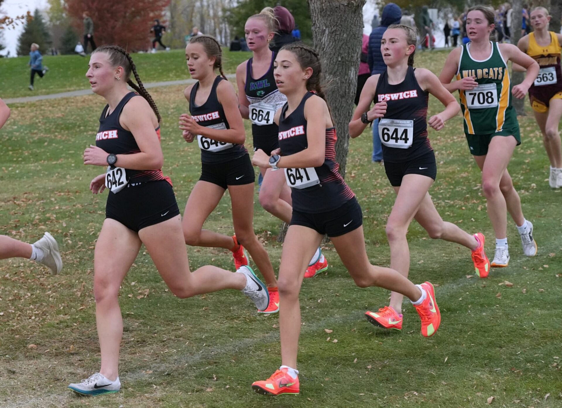 Boekelheide wins third Class B cross-country title; Ipswich girls claim team championship 2 Madisyn Gellhaus, left, leads Ipswich runners Jayla Stiles, Isabella Galbraight and Kayla Oban during the Class B girls state cross-country met Saturday, Oct. 25 in Huron. Behind Oban is Northwestern's Tara Blachford. Ipswich won the team championship. Aberdeen Insider photo by Kevin Foss.