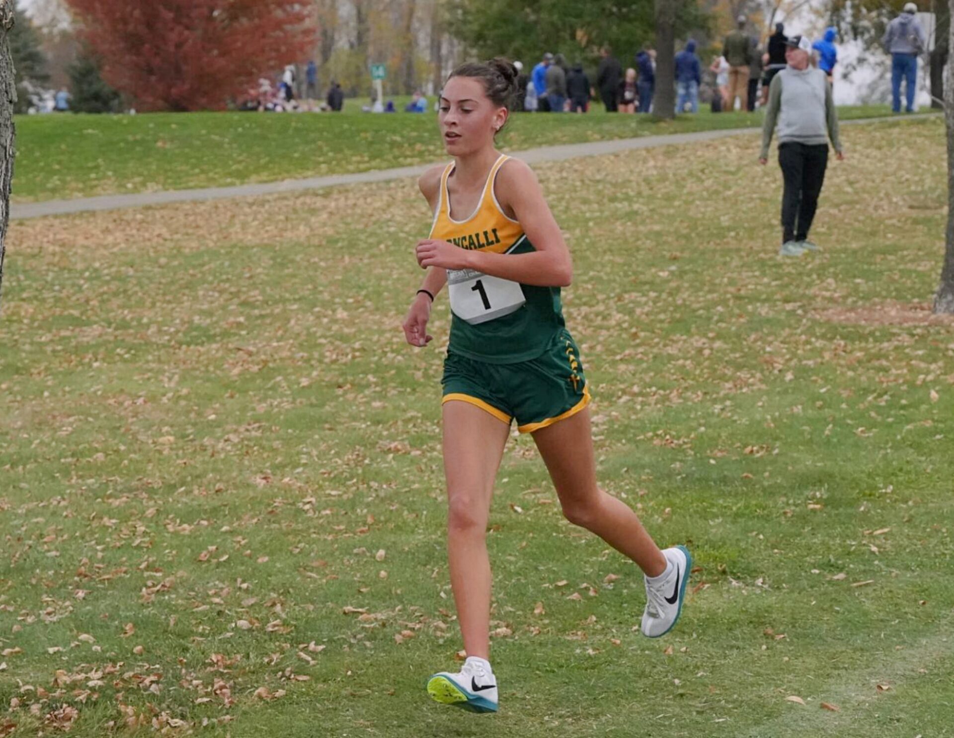 Boekelheide wins third Class B cross-country title; Ipswich girls claim team championship 5 addyson