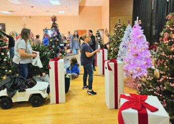 Resized 20231112 113958