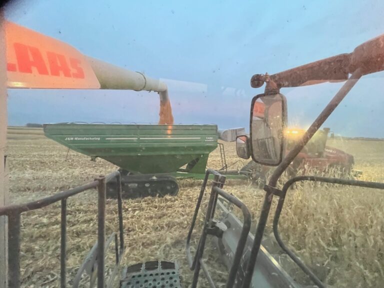 Dumping corn on the run