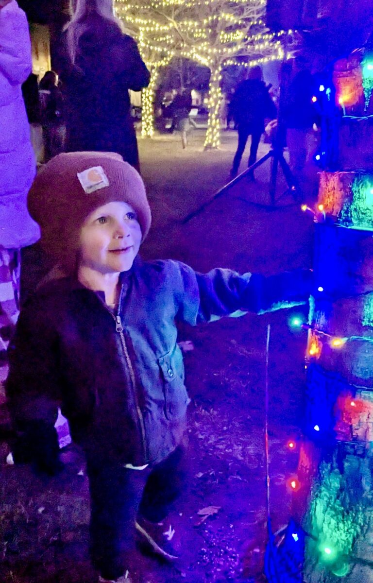 Henry Beyers, 2, of Aberdeen looks at the lights after the three-lighting ceremony at Central Park near downtown Aberdeen on Thursday, Nov. 20. Aberdeen Insider photo by Scott Waltman.