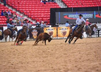 Sippel family of Pierpont honored as top producer of the year by SD Quarter Horse Association 5 Dana Sippel and Travis Johnson, both roping on Sippel bred horses competing at the World Series. Courtesy photo.