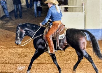 Kim Fordham on Dualena San. The Fordham Family of Aberdeen is being honored with the South Dakota Quarter Horse Association's Show Legacy Award. Courtesy photo.