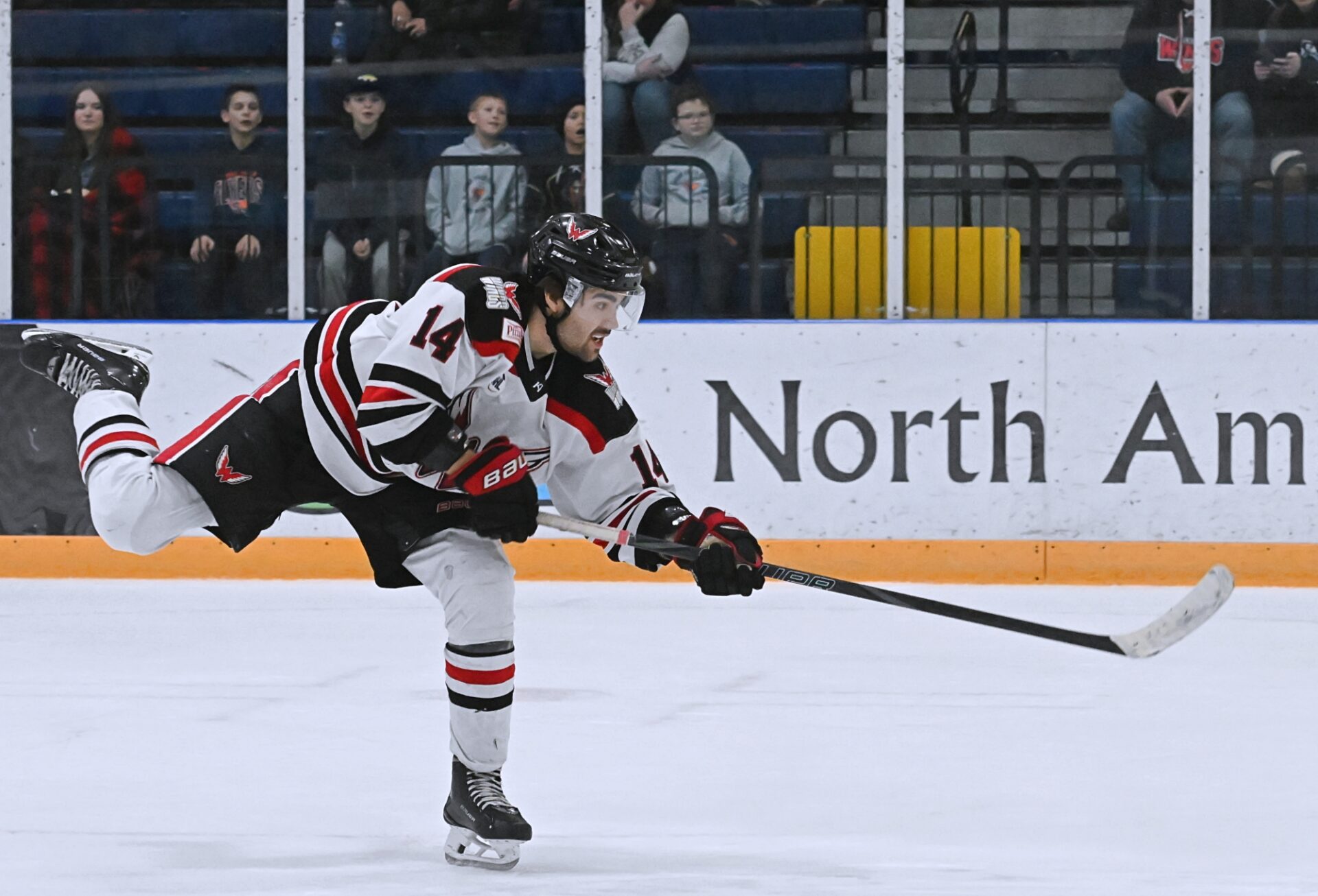 WINGS BULLS CADEN SO