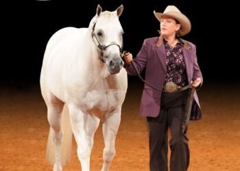 Daddys Legacy with Kristen Gonsoir at the American Quater Horse Association Wold Championships. Courtesy photo.