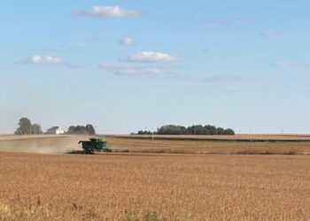 A farmer near Dike, Iowa harvests soybeans. Iowa Capitol Dispatch photo by Cami Koons.