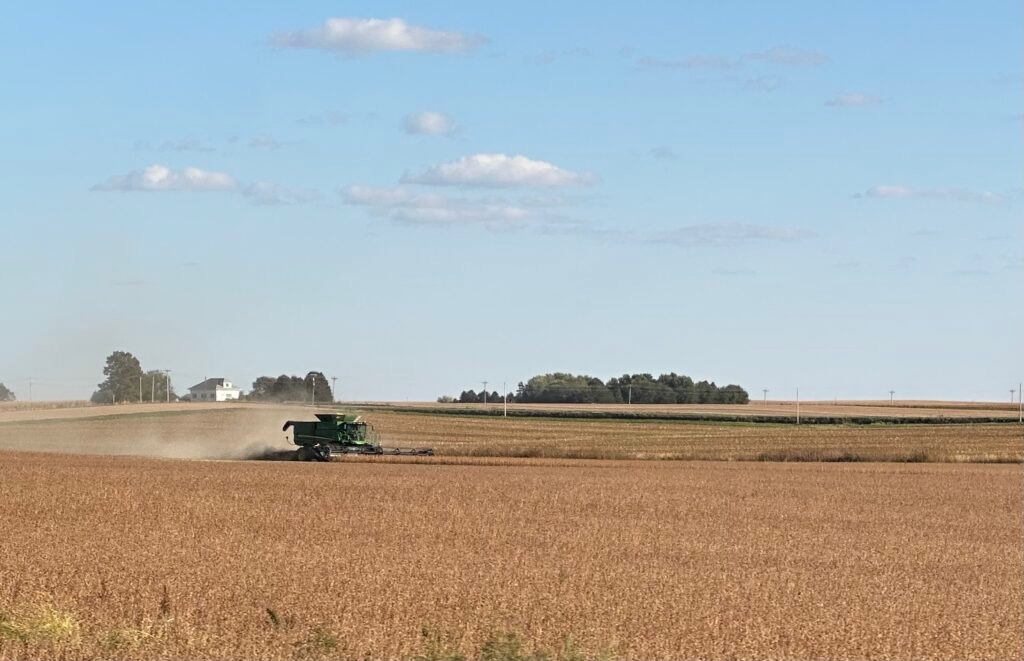 A farmer near Dike, Iowa harvests soybeans. Iowa Capitol Dispatch photo by Cami Koons.