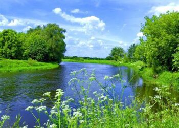 Nature 3