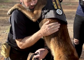 During a moment of stress, Chris Reder is comforted by his therapy dog Cairo for the first time in Florida. Courtesy photo.
