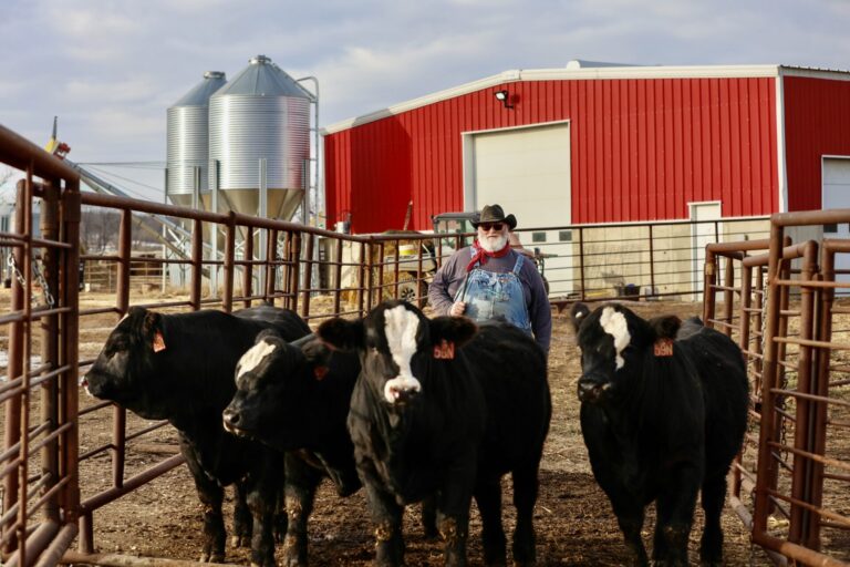 Mike Stavick of Stavick Simmental near Veblen stands with four quadruplet bull calves born in February 2025. The quads were recently sold, all to the same buyer. Courtesy photo.
