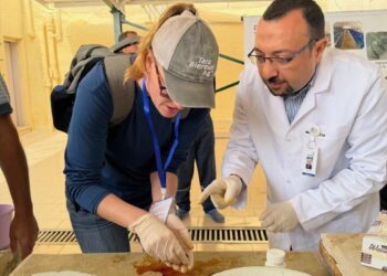 Tara Bierman of Northville tagged some fingerling fish while visiting Egypt. The data from the fish will be retrieved when the fish is processed. Courtesy photo.