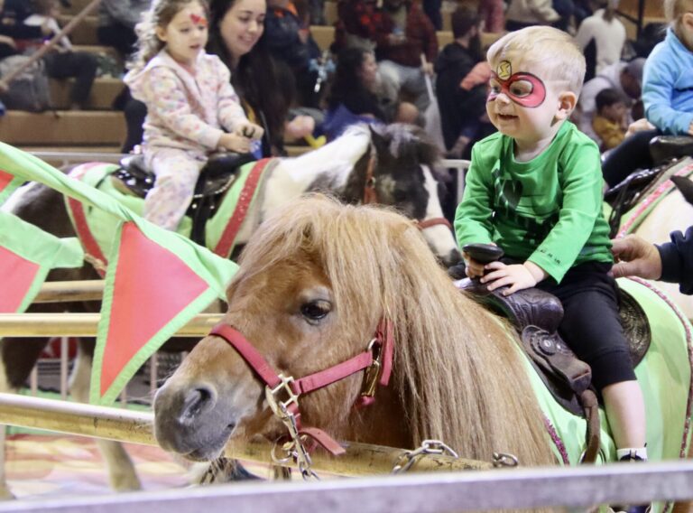 Kids and their parents filled the Aberdeen Civic Arena over the weekend for the annual Yelduz Shrine Circus Spectacular. Featuring daredevil, high-wire and animal acts, kids also had the chance to get their photos taken with clowns and performers, ride camels and horses, and have their face painted. Aberdeen Insider photos by Scott Waltman.