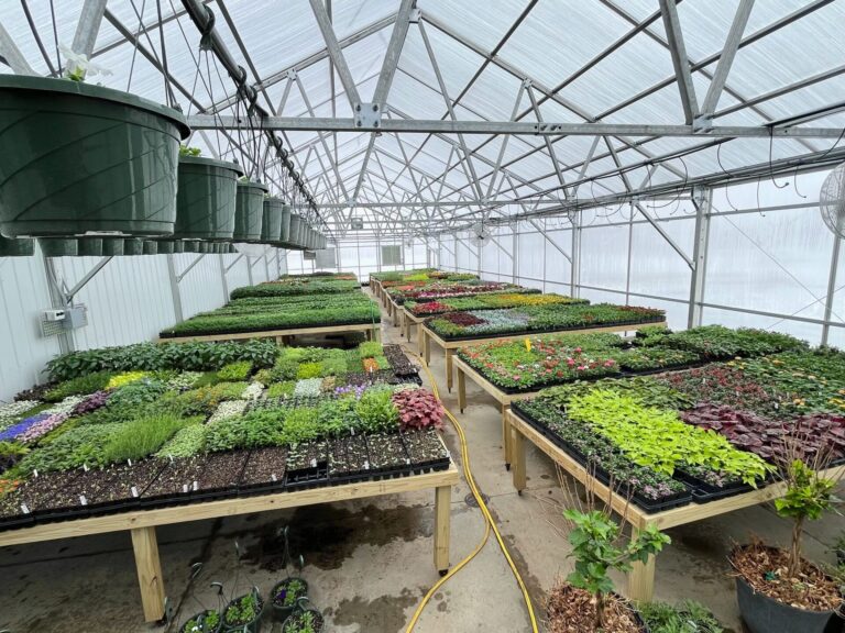 More than 30,000 plants will be available to customers at Harvest Gardens in Ellendale, N.D., when it opens on May 1. Courtesy photo.