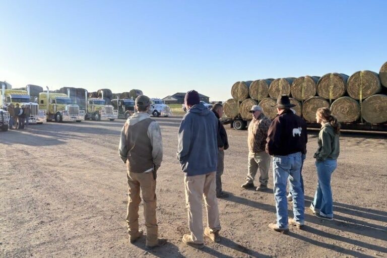 A crowd gathers in the Platte Livestock Market parking lot on Monday, April 20 as a convoy of hay trucks prepares to depart for Arthur, Neb., to support wildfire relief efforts. Photo courtesy of South Central Cattlemen’s Association.