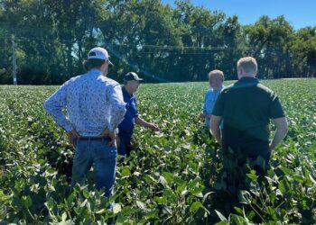 As he and foreign visitors walked through his soybean field last year, Mike McCranie of Claremont shared information about what he does to provide quality soybeans for export. Courtesy photo.