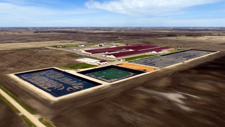 Riverview Dairy is seeking to expand its Morris-based West River Dairy operation from 7,855 cows to almost 19,000 cows. Minnesota Reformer drone photo by Rob Levine.