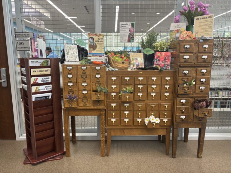 Historic card catalogues provide a home for the seed library at K.O. Lee Public Library. Aberdeen Insider photo by Paige Schmidt.