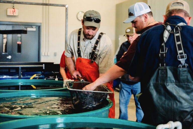 South Dakota Game, Fish & Parks Fisheries Biologist Nathan Pool, of Webster, left, and LATC Natural Resources Management Student Drew Butler, of Wilmot, look at fish in a tank. Courtesy photo. 