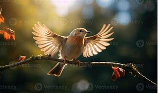sparrow bird
