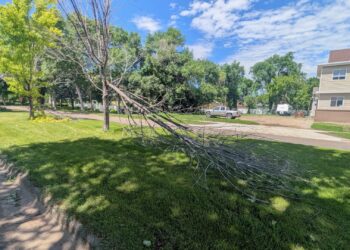 A late-night storm on Tuesday, June 9 knocked down tree branches across Aberdeen. Aberdeen Insider photo by Scott Waltman.