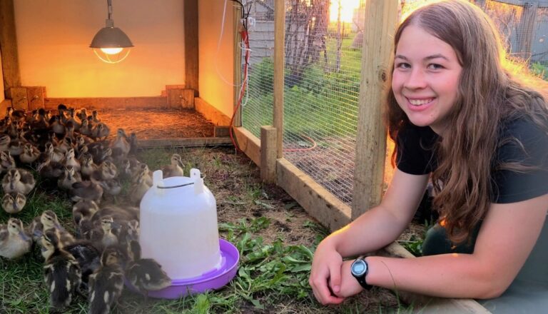 Madison Grimm has a variety of ducklings she hatches from eggs rescued by farmers. Courtesy photo.