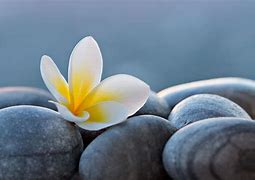 calm 1