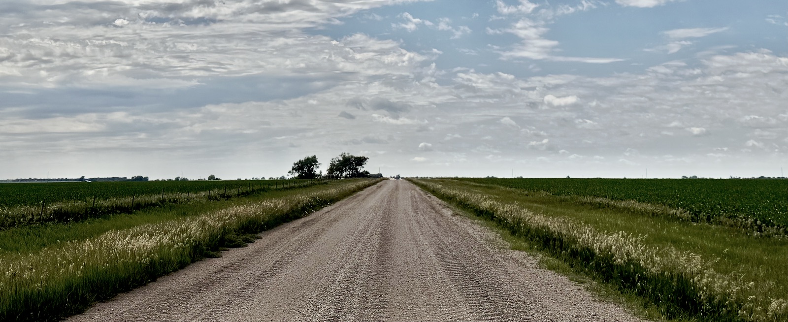 'How do I keep going:?' Farmer mental health solutions available in South Dakota 3 Some people in rural agricultural communities may have to travel several hours to see an in-person mental health care provider. Rural Davison County. South Dakota Searchlight photo by Elena Tittel.
