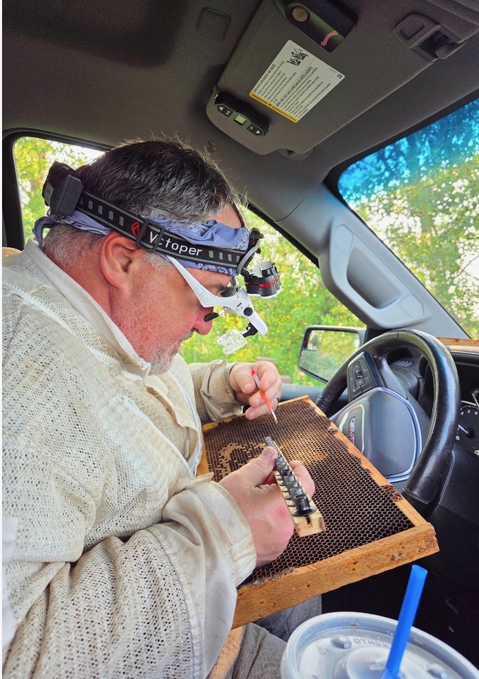 Barry Kiesz is seen here grafting queen cells. Courtesy photo.