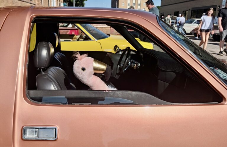As is the case each year, the Sizzlin' Summer Nights car and bike show drew a hefty crowd to downtown Aberdeen. This year's event was on Saturday, Aug. 22. Aberdeen Insider photo by Scott Waltman.