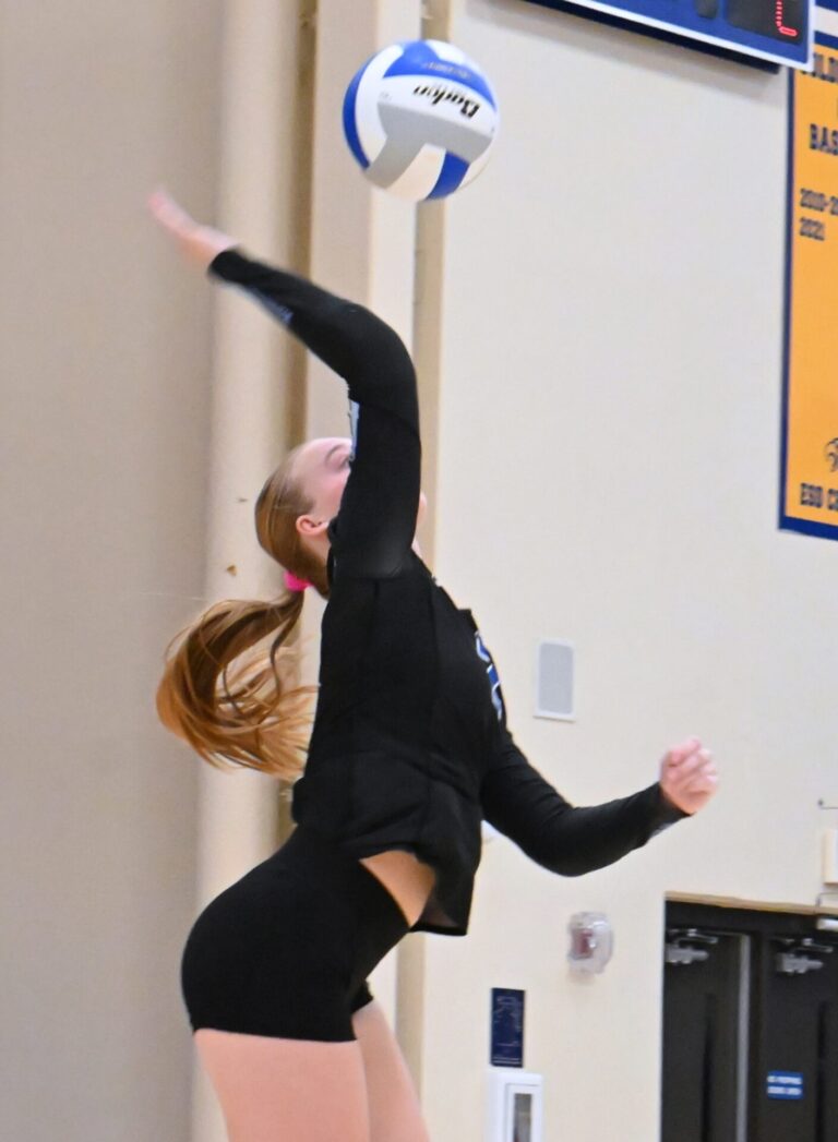 Aberdeen Central's Camryn Albrecht hits a jump serve during the Eagles four-set triumph over Brookings Monday, Oct. 5 at Golden Eagles Arena. Aberdeen Insider photo by Robb Garofalo.